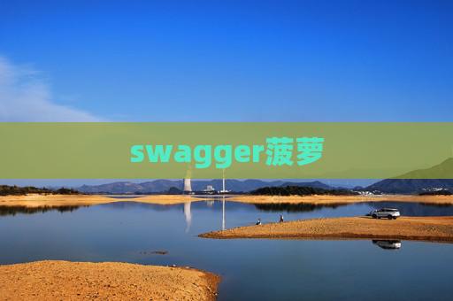 swagger菠萝 swagger菠萝